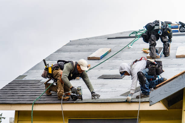 Professional Gutter Installation technician working in Knowlesville, NY